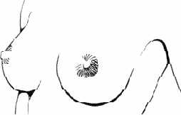  >   ( 1)