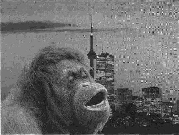 ;    KingKong
