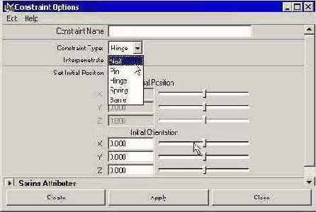       Constraint Options