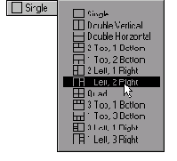   Display Options 