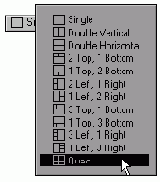   Display Options 
