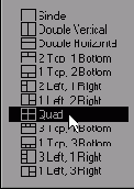   Display Options