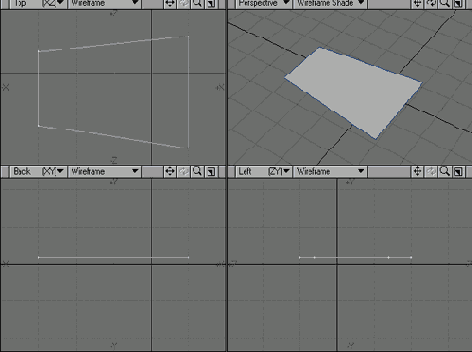   Display Options